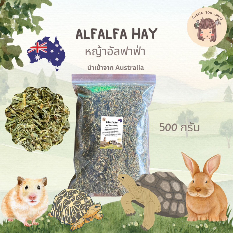 หญ้าอัลฟาฟ่าสับ 500 กรัม Alfalfa hay สามารถโรยบนอาหาร ให้น้องทานได้เลย นำเข้าจากออสเตรเลีย เกรดพรีเมี่ยม [LT57]