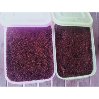 ไข่ตั๊กแตนปาทังก้าโมจีน200กรัมราคาพิเศษ