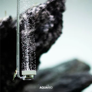 Aquario Neo Air Diffuser หัวกระจายอากาศ ให้เม็ดฟองละเอียดกว่าหัวทรายปกติ