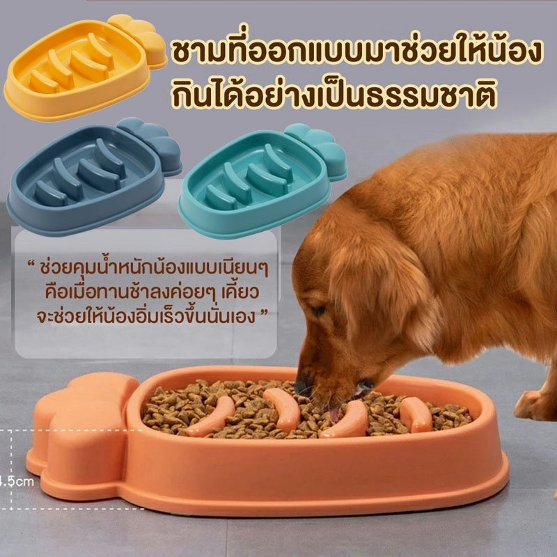 ชามอาหารสัตว์เลี้ยง ชามฝึกให้ทานช้าลง ลดการสำลัก