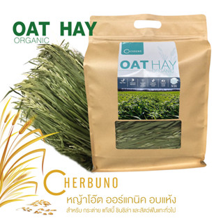 หญ้าโอ๊ต อบแห้ง - Oat Hay Dry by Cherbuno (500g)