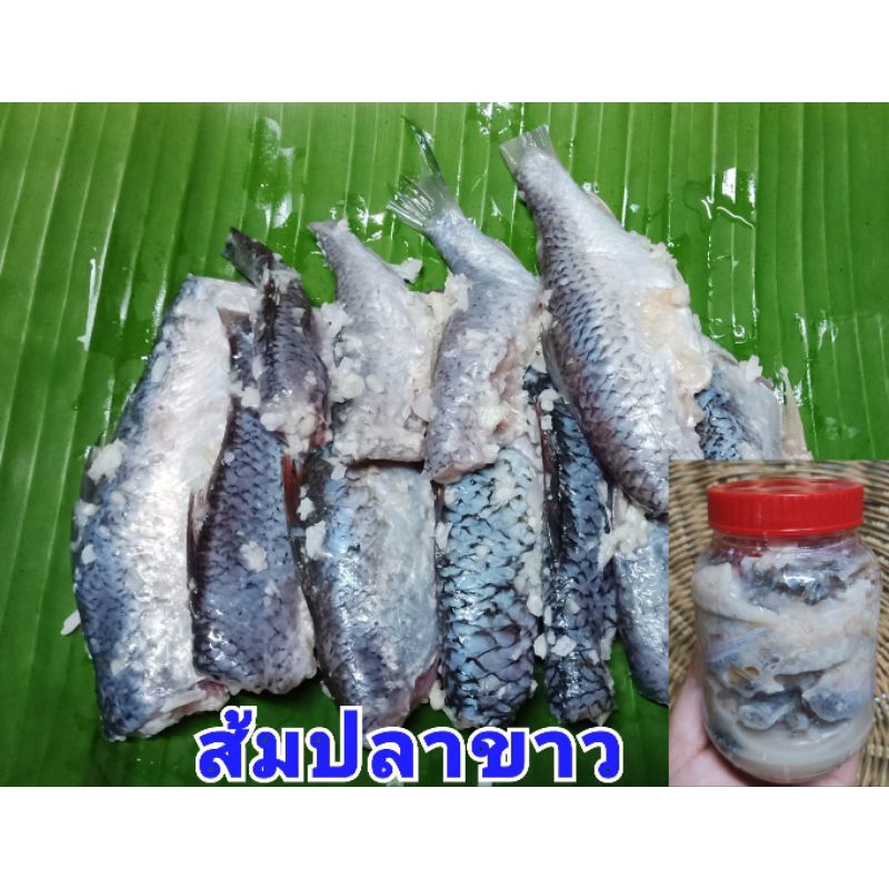 ส้มปลาขาวตัดหัวหรือส้มปลาน้อย 500 กรัม 85 บาท