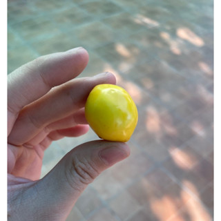 เลม่อนจิ๋วปลอม เลม่อนปลอม  Lemon ผลไม้ปลอม ของตกแต่ง พร๊อพถ่ายรูป