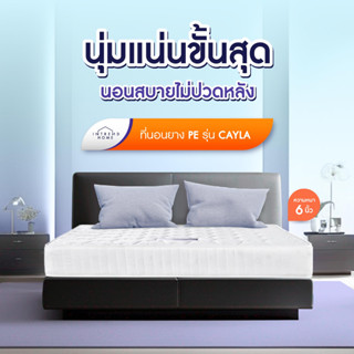 Intrend Furniture ที่นอนยางPE Hybrid รุ่น Cayla หนา 6 นิ้ว ลดการปวดหลัง แน่น ไม่เด้ง พัฒนาโดยผู้เชี่ยวชาญมากกว่า 30 ปี