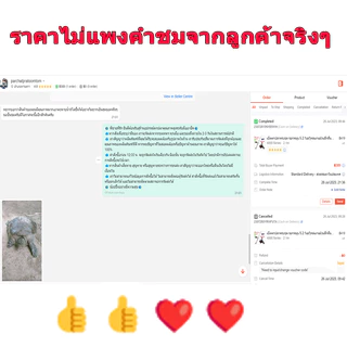 🐬HAIYI FISHING🐬เบ็ดตกปลาครบชุด รอกหมุน 5.2:1อะไหล่แกนม้วนลึกตื้น ชุดรอกตกปลารอกตกปลาน้ำจืดทะเลน้ำเค็ม