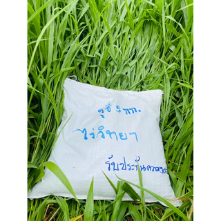 เมล็ดพันธุ์หญ้ารูซี่ 5 กก.ยกกระสอบเล็ก ประหยัดขึ้น