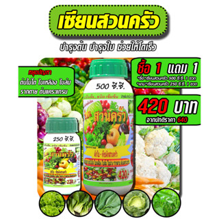 [พร้อมส่ง] เซียนสวนครัว 500ซีซี. แถมขนาด 250ซีซี. อะมิโนพืช ชนิดเข้มข้ม ฮอร์โมน ปุ๋ยฉีด ปุ๋ยทางใบ ฮอร์โมนพืช อะมิโน