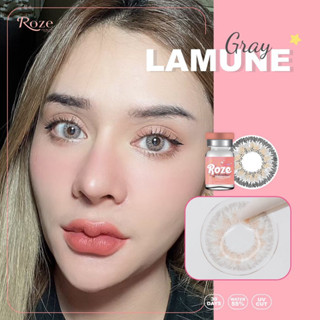 คอนแทคเลนส์ Roze Hydrogel รุ่น Lamune Gray (สีเทา)