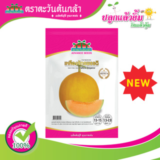 💥ซองใหญ่💥 เมล็ดพันธุ์ แคนตาลูป ลูกผสม เหลืองจักรพรรดิ ตราตะวันต้นกล้า สินค้าใหม่