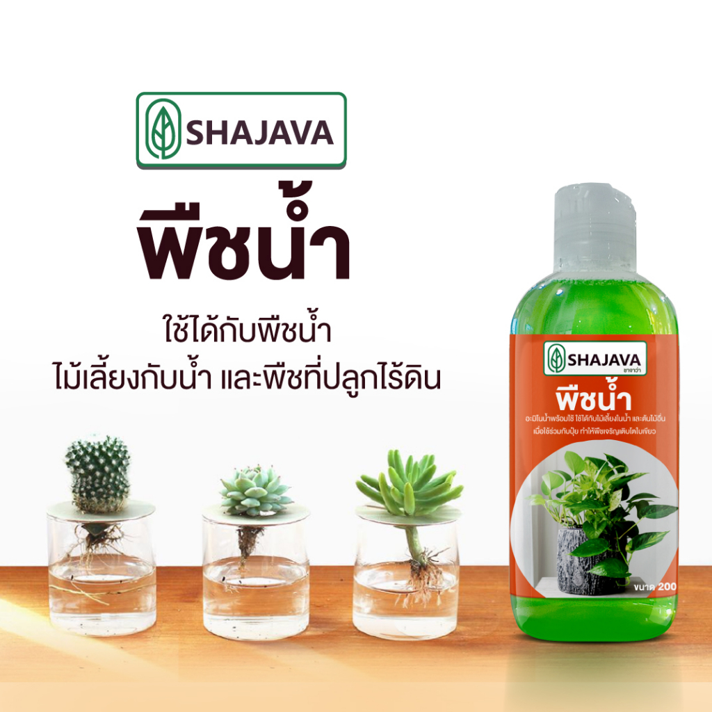 พืชน้ำ อะมิโนน้ำ ใช้ได้กับ ไม้เลี้ยงน้ำ ไม้น้ำ พืชปลูกไร้ดิน ต้นไม้น้ำ บำรุงต้นไม้น้ำ ต้นไม้