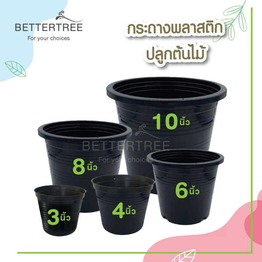 กระถางดำ 4 นิ้ว 6 นิ้ว 8 นิ้ว 10 นิ้ว ใบเล็กขายเป็นคู่ กระถางพลาสติก กระถาง พลาสติก