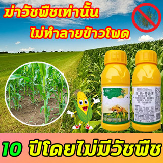 🌽10ปีโดยไม่มีวัชพืช🌽 (นิโคซัลฟูรอน + อาทราซีน)สารกำจัดวัชพืช สารคุมวัชพืช 100ml กำจัดหญ้าในไร่ข้าวโพด​​ ไม่ทำลายข้าวโพด