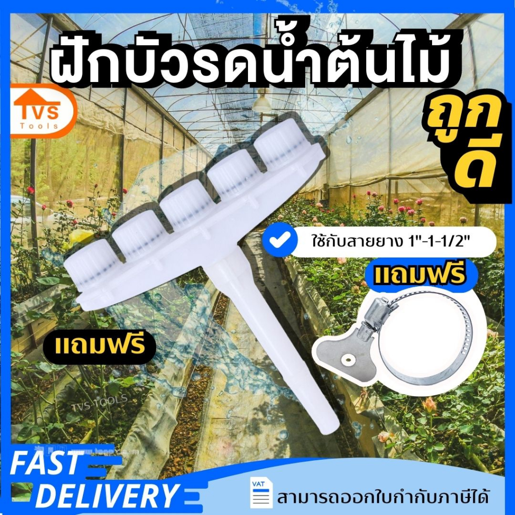 หัวฝักบัวรดน้ำ ฝักบัวรดน้ำ บัวรดน้ำ ต้นไม้ไม่ช้ำ แยก 5 หัว-สีขาว(แถมเข็มขัด)