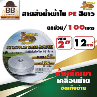 Bengala สายส่งน้ำ PE ขนาด 2 นิ้ว 3 นิ้ว 12 บาร์ ยาว 100 เมตร สีขาว เบงกอล ยกม้วน