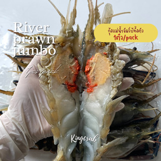 กุ้งแม่น้ำจัมโบ้ทั้งตัว 1ตัว/pack GIANT FRESH WATER PRAWN