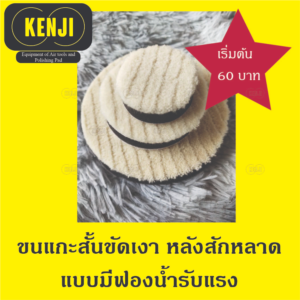 ขนแกะขัดเงา แบบขนสั้น แบบมีฟองน้ำ ขนาด  3 / 5 / 6  / 8 นิ้ว ความหนา 10 มิล