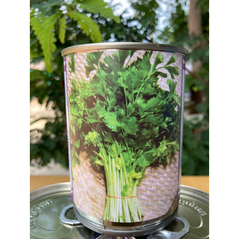 คึ่นฉ่าย ดัดพิเศษ พันธุ์ อเมริกา  ของไหม่ชัวร์ เข่งฉ่าย 65 กรัม สิ้นอายุทำพันธุ์  07 / 70