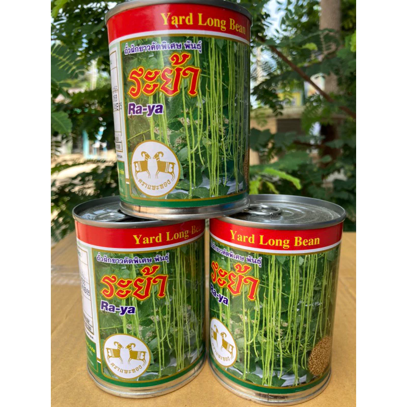 เมล็ดถั่วฝักยาว ระย้า (Ra-ya) คัดพิเศษ ขนาด 100 กรัม สิ้นอายุทำพันธุ์ 01 / 70