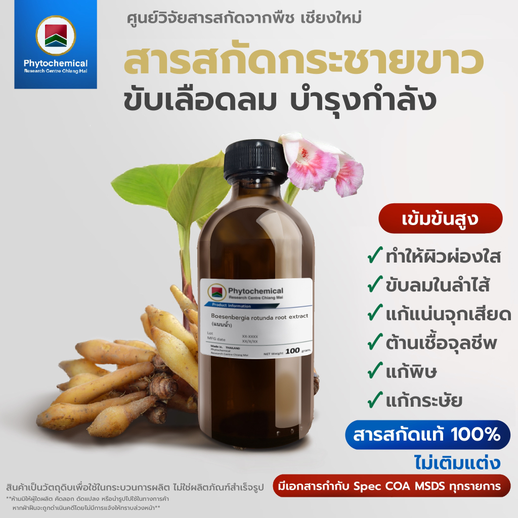 สารสกัดกระชายขาว(แบบน้ำ) Fingerroot root extract | สารสกัดจากพืช สารสกัดสมุนไพร 100% | เข้มข้นสูง 25-100 g.