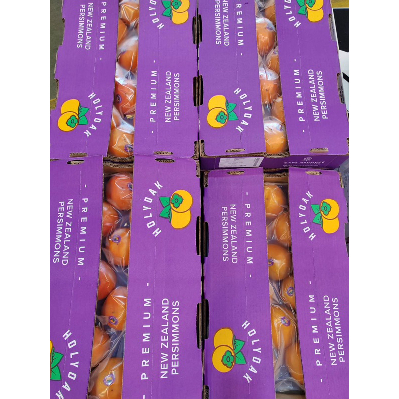 พลับ Fuyu New Zealand holyoak #15