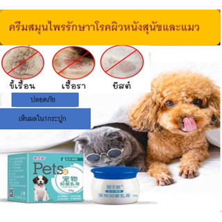 Pets ครีมสุนัข แมว ครีมสมุนไพรสำหรับทาผิวสัตว์เลี้ยง ครีมทาสุนัข-แมว โรคผิวหนัง คัน เกา ขนร่วง เชื้อรา ขี้เรื้อน 20 กรัม