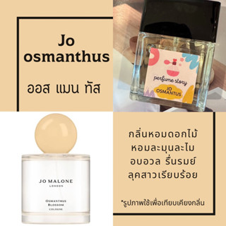 jo osmanthus - ออสแมนทัส