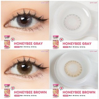 คอนแทคเลนส์ New รุ่น Honey Bee มีสีเทา/ตาล Gray/Brown มีค่าสายตาปกติ (0.00) เปลี่ยนแทนทุกเดือน