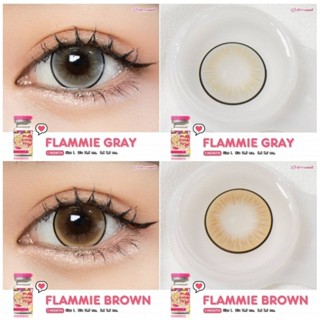 คอนแทคเลนส์ New รุ่น Flamie By Kitty kawaii สีเทา/ตาล Gray/Brownมีค่าสายตาปกติ (0.00) เปลี่ยนแทนทุกเดือน