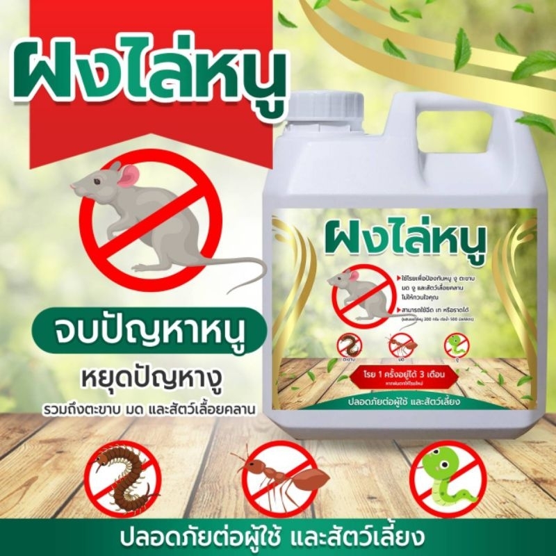 ผงไล่หนู สมุนไพรไล่หนู ผงไล่งู (ND) ไล่ตะขาบ ไล่กบ ไล่ทาก ไล่แมลงและสัตว์เลื้อยคลาน