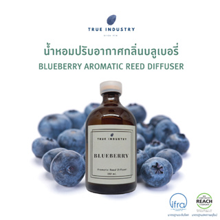 ก้านไม้หอมปรับอากาศ กลิ่นบลูเบอร์รี่ 100 ml. (Blueberry Aromatic Reed Diffuser) แถมฟรี ไม้หวาย 8 ก้าน