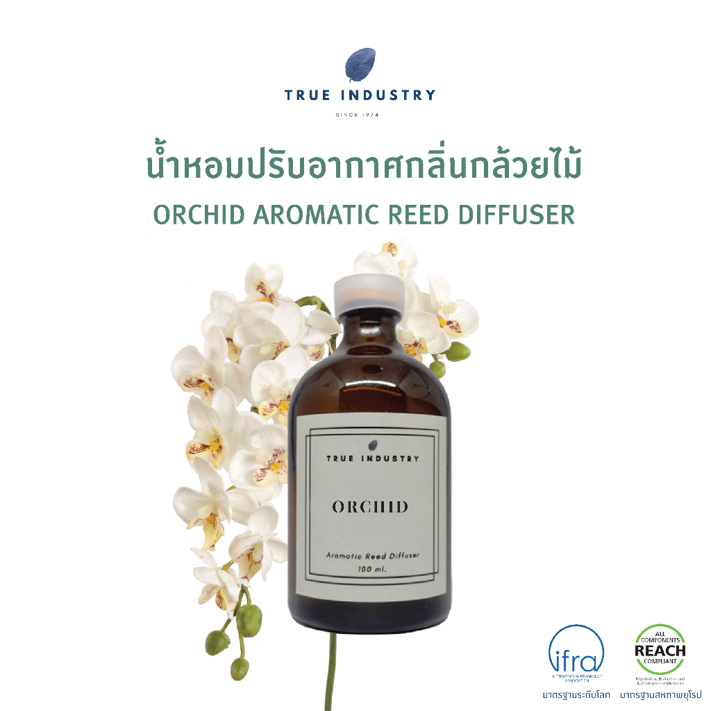 ก้านไม้หอมปรับอากาศ กลิ่นกล้วยไม้ 100 ml. (Archid Aromatic Reed Diffuser) แถมฟรี ไม้หวาย 8 ก้าน