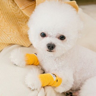 BPets Shop ปลอกแขนป้องกันข้อศอก ลายการ์ตูนหมี กันฝุ่น สําหรับสัตว์เลี้ยง สุนัข 4 ชิ้น