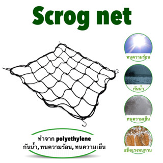 Scrog net ตาข่ายยืดหยุ่น ตาข่ายกัญชา Trellis Netting ขนาด 60x60,70x70,80×80,100×100,120×120cm Elastic Netting