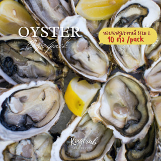 หอยนางรมเกาหลี Size L 10 pc/pack Korean oysters