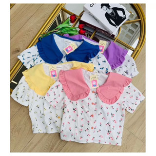 เสื้อคอบัวหลากสีคอตตอนสโตร์