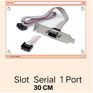 ส่งจากไทย x2 ได้สองชุด Slot Sewrial 1port 30CM.สล็อต