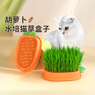 Kutiepom [ส่งจากไทย] ชุดปลูกข้าวสาลีอ่อน สำหรับน้องหมา น้องแมว Wheat Grass Growing Set with 5 bags of seeds