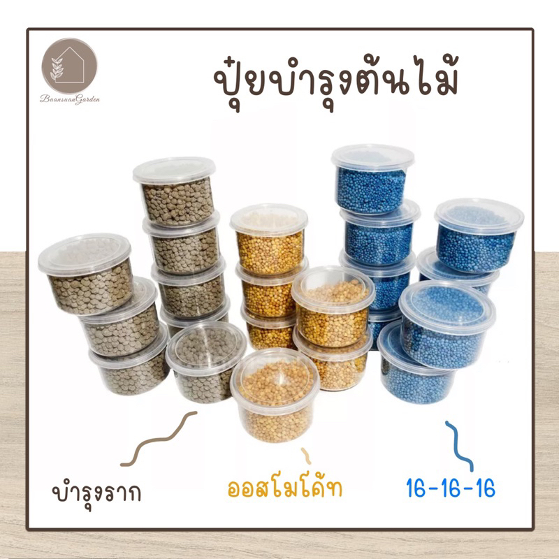 ปุ๋ยบำรุงต้นไม้ 16-16-16 ออสโมโค้ท ปุ๋ยเร่งดอก