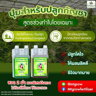 (โตไว รีวิวเพียบ) ปุ๋ย AB กัญชา 420 ปุ๋ยทำใบ ปุ๋ยทำดอก Hydro / coco