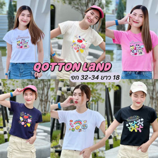 เสื้อครอป baby tee ไม่ต้องรีด อก32-34 ยาว18 (QottonLand)