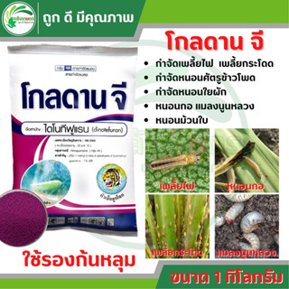 โกลดานจี ขนาด1กก. ตราหัวเสือลูกโลก (ไดโนทีฟูแรน)