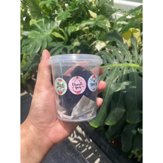 🔥 บราวนี่ถัง🍪บราวนี่คิวบ์🍪ขนาด 8 .OZสุดคุ้ม⭕️ขายส่ง 22~