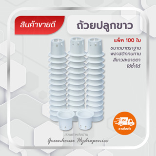 ถ้วยปลูกผักไฮโดรโปนิกส์สีขาวนม 1 ชุด จำนวน 100 ใบ