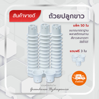 ถ้วยปลูกผักไฮโดรโปนิกส์สีขาว  จำนวน 50 ใบ แถมฟรี3