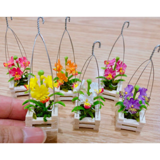 [ของจิ๋ว] กระเช้ากล้วยไม้จิ๋ว แบบแขวน ขนาดความสูง 6-7 cm.