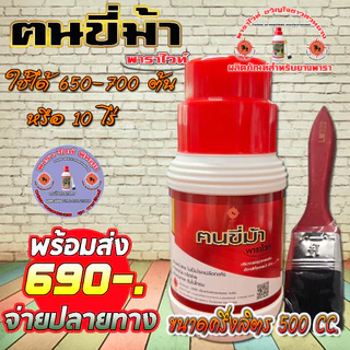 ฅนขี่ม้า พาราไวท์ พัทลุง