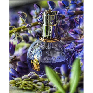 น้ำหอมแบ่งขาย Lanvin Eclat D’Arpege EDP by Kidda_Market