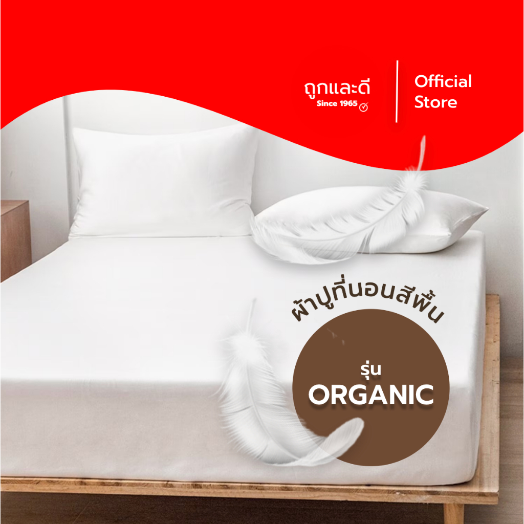 Took Lae Dee ผ้าปูที่นอน รุ่น Organic สีเรียบหรู เนื้อนุ่ม  ขนาด 3.5ฟุต/5ฟุต/6ฟุต