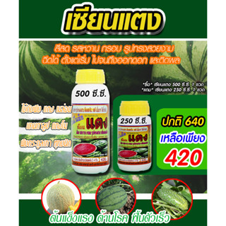 [พร้อมส่ง] เซียนแตง 500ซีซี. แถมขนาด 250ซีซี. อะมิโนพืช ชนิดเข้มข้ม ฮอร์โมนแตง ปุ๋ยฉีดแตง ปุ๋ยทางใบ ฮอร์โมนพืช