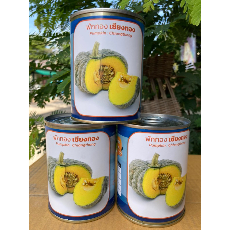 ฟักทอง🔥 เชียงทอง🔥  เนื้อสีทอง 🔥 ผิวขรุขระ 🔥 ลูำกใหญ่ ๆๆๆๆ 🔥สิ้นอายุทำพันธุ์   06 / 69🔥 - รูปที่ 2